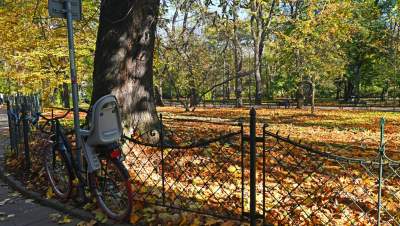 W tym roku liście trzymają się mocniej, dłuższa złota polska jesień - zdjęcie 15