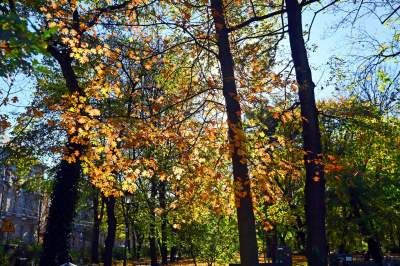 W tym roku liście trzymają się mocniej, dłuższa złota polska jesień - zdjęcie 1