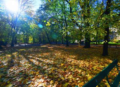 W tym roku liście trzymają się mocniej, dłuższa złota polska jesień - zdjęcie 3