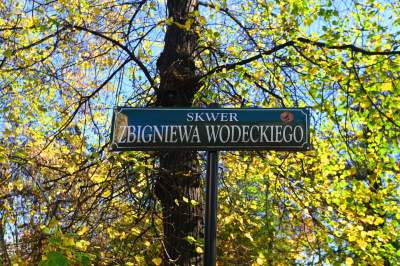 W tym roku liście trzymają się mocniej, dłuższa złota polska jesień - zdjęcie 17