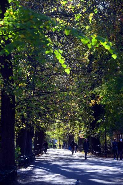W tym roku liście trzymają się mocniej, dłuższa złota polska jesień - zdjęcie 9