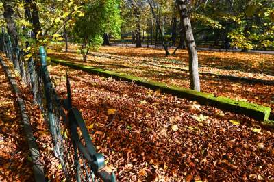 W tym roku liście trzymają się mocniej, dłuższa złota polska jesień - zdjęcie 18