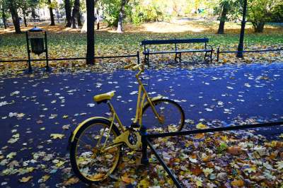 W tym roku liście trzymają się mocniej, dłuższa złota polska jesień - zdjęcie 32