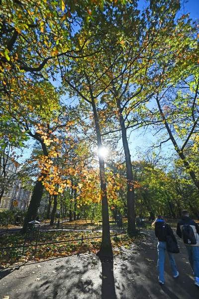 W tym roku liście trzymają się mocniej, dłuższa złota polska jesień - zdjęcie 2