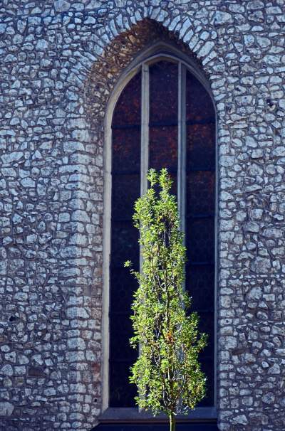 W tym roku liście trzymają się mocniej, dłuższa złota polska jesień - zdjęcie 22