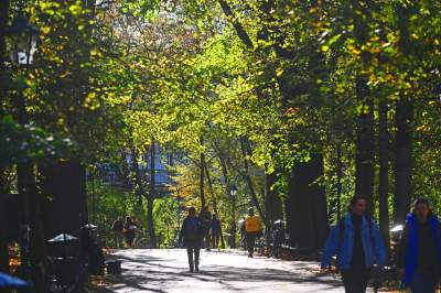 W tym roku liście trzymają się mocniej, dłuższa złota polska jesień - zdjęcie 14