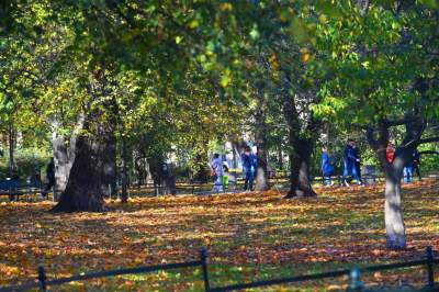 W tym roku liście trzymają się mocniej, dłuższa złota polska jesień - zdjęcie 4