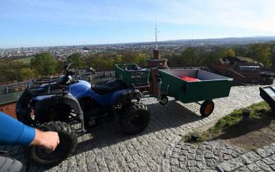 Rozłożyli gigantyczną flagę na Kopcu Kościuszki, świętujemy! - zdjęcie 2