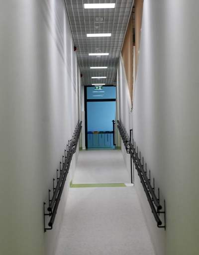 Nowa hala sportowa AGH, a w środku rośnie drzewo - zdjęcie 18