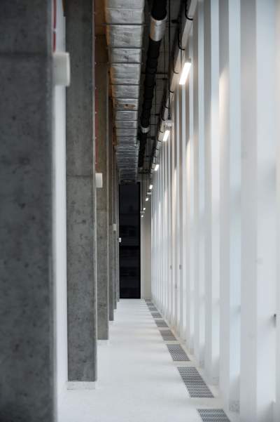 Nowa hala sportowa AGH, a w środku rośnie drzewo - zdjęcie 17