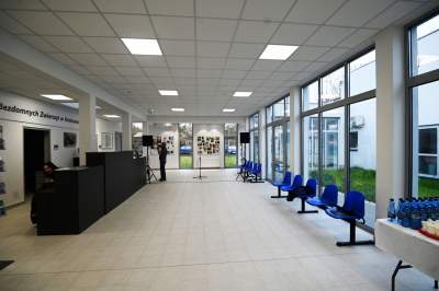 Rewelacyjny pawilon dla bezdomnych kotów. Istne kocie szaleństwo - zdjęcie 32