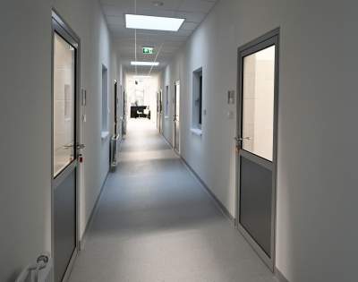 Rewelacyjny pawilon dla bezdomnych kotów. Istne kocie szaleństwo - zdjęcie 29