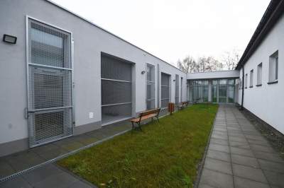 Rewelacyjny pawilon dla bezdomnych kotów. Istne kocie szaleństwo - zdjęcie 33