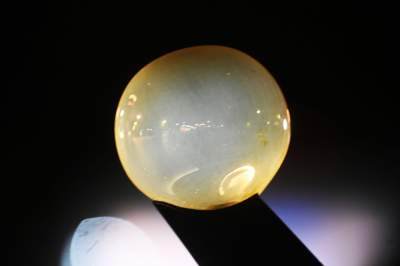 Odsłonięcie całodobowego zegara słonecznego, nowa atrakcja pod Wawelem - zdjęcie 11