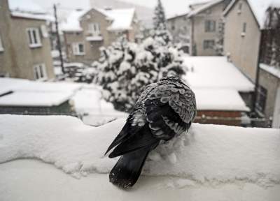 Tutaj im więcej śniegu, tym więcej zabawy - zdjęcie 12