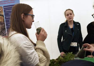 I... nie pękł. Eksperymenty na krakowskim Rynku - zdjęcie 1