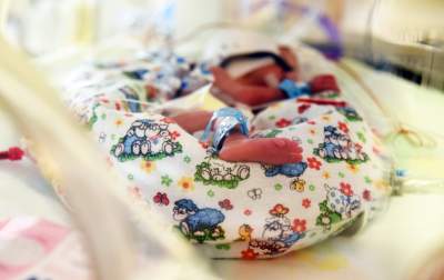 Krakowskie sześcioraczki: raz na kilka miliardów ciąż - zdjęcie 22