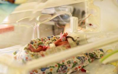 Krakowskie sześcioraczki: raz na kilka miliardów ciąż - zdjęcie 14