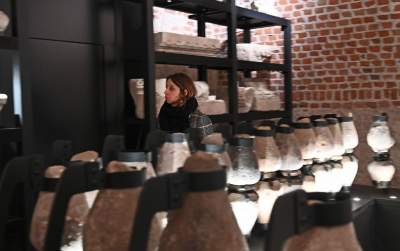 Wawel podziemny dla zwiedzających. Nowa, stała trasa turystyczna - zdjęcie 17