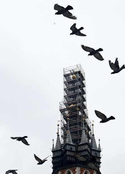 Które z tych zdjęć najlepiej podsumowuje miniony rok? Oceńcie sami - zdjęcie 99