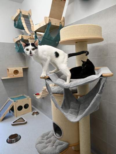 Które z tych zdjęć najlepiej podsumowuje miniony rok? Oceńcie sami - zdjęcie 147