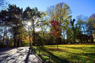 Które z tych zdjęć najlepiej podsumowuje miniony rok? Oceńcie sami - zdjęcie 140