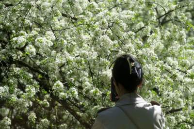 Które z tych zdjęć najlepiej podsumowuje miniony rok? Oceńcie sami - zdjęcie 39