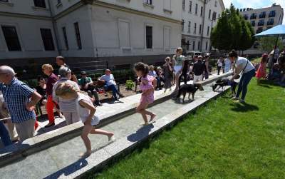 Które z tych zdjęć najlepiej podsumowuje miniony rok? Oceńcie sami - zdjęcie 76