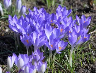 Które z tych zdjęć najlepiej podsumowuje miniony rok? Oceńcie sami - zdjęcie 19