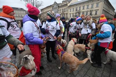 Anna Dymna jak zawsze wśród wolontariuszy, lubimy pomagać! - zdjęcie 12