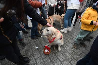Anna Dymna jak zawsze wśród wolontariuszy, lubimy pomagać! - zdjęcie 9