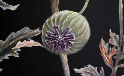 „Zielnik” niezgody. Według aktywistów przemalowanie tych ścian to skandal! - zdjęcie 8