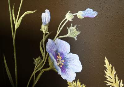 „Zielnik” niezgody. Według aktywistów przemalowanie tych ścian to skandal! - zdjęcie 11