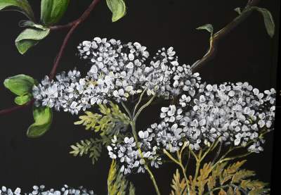 „Zielnik” niezgody. Według aktywistów przemalowanie tych ścian to skandal! - zdjęcie 9