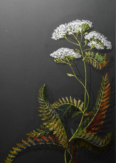 „Zielnik” niezgody. Według aktywistów przemalowanie tych ścian to skandal! - zdjęcie 21