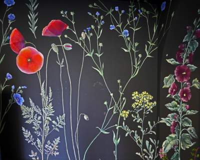 „Zielnik” niezgody. Według aktywistów przemalowanie tych ścian to skandal! - zdjęcie 1