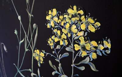 „Zielnik” niezgody. Według aktywistów przemalowanie tych ścian to skandal! - zdjęcie 5