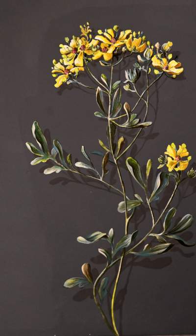 „Zielnik” niezgody. Według aktywistów przemalowanie tych ścian to skandal! - zdjęcie 19