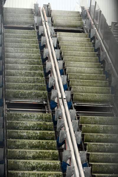 To się dzieje naprawdę: tak znikają nieruchome ruchome schody - zdjęcie 4