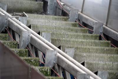 To się dzieje naprawdę: tak znikają nieruchome ruchome schody - zdjęcie 5