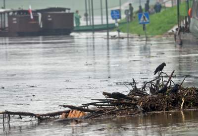 Woda powoli opada, ale sprzątania będzie sporo... - zdjęcie 21