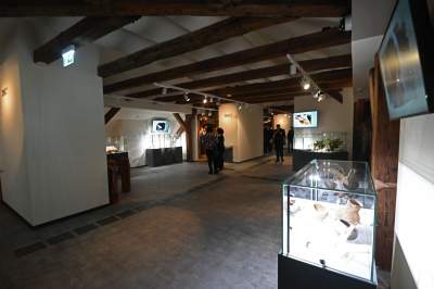 Nowa przestrzeń wystawiennicza w Muzeum Archeologicznym, na strychu - zdjęcie 2