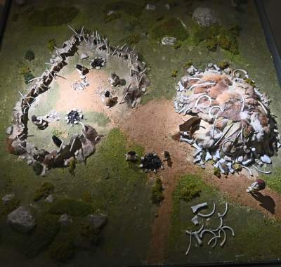 Nowa przestrzeń wystawiennicza w Muzeum Archeologicznym, na strychu - zdjęcie 23