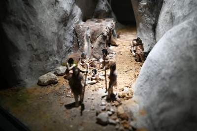 Nowa przestrzeń wystawiennicza w Muzeum Archeologicznym, na strychu - zdjęcie 13