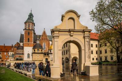 Najsłynniejsza krakowska magnolia wysłała jasny sygnał: wiosna i już! - zdjęcie 2