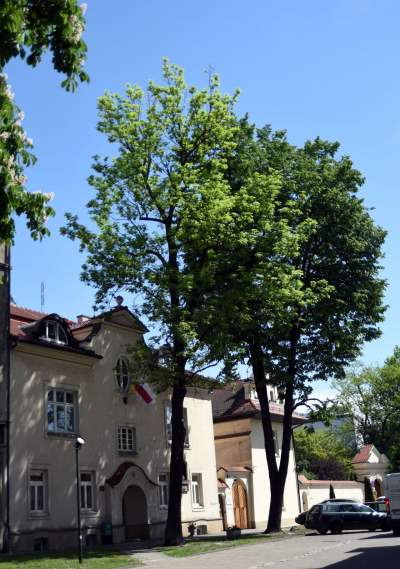 Tu jest szykowana rezydencja dla emeryta arcybiskupa Jędraszewskiego - zdjęcie 5