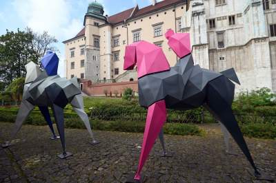 Takie Kontrasty w ogrodach Zamku Królewskiego na Wawelu.  Niedługo znikną... - zdjęcie 16