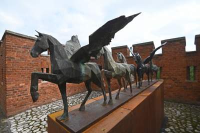 Takie Kontrasty w ogrodach Zamku Królewskiego na Wawelu.  Niedługo znikną... - zdjęcie 12