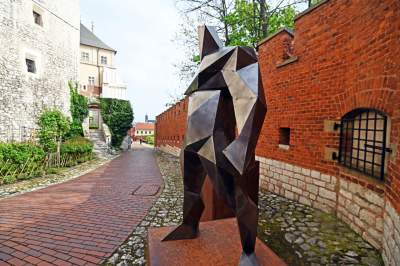 Takie Kontrasty w ogrodach Zamku Królewskiego na Wawelu.  Niedługo znikną... - zdjęcie 6