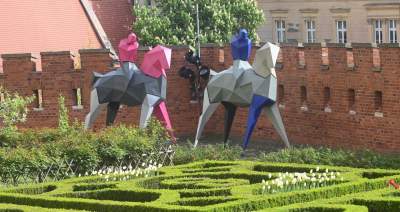 Takie Kontrasty w ogrodach Zamku Królewskiego na Wawelu.  Niedługo znikną... - zdjęcie 7